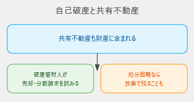 共有不動産と自己破産